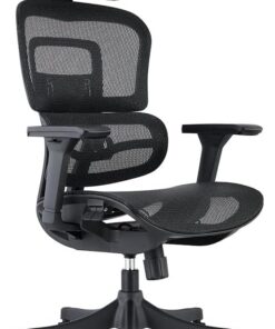 Waytex Draconis - Silla de Oficina ergonómica, Silla de Oficina de Malla Transpirable, apoyabrazos Ajustables 3D, reposacabezas Ajustable, Soporte Lumbar Ultra cómodo, Color Negro