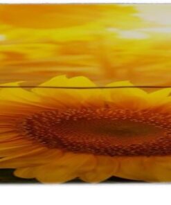 A.Monamour Fundas Decorativas para Sofás Girasoles Florecientes En El Sol del Campo Terciopelo Fundas de Sillón Sofá Protector Funda de Sofá 1 Plaza 2 Plazas 3 Plazas