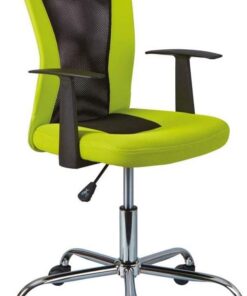 Inter Link - Silla giratoria infantil - Silla giratoria de oficina - Silla de oficina ergonómica - Silla de oficina - Altura regulable - Transpirable - Verde y negro - Donny