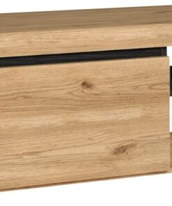 Skraut Home | Mueble TV | Modelo Naturale | 120 x 40 x 41 cm | Mueble Auxiliar 1 Puerta y Balda | Estilo Nórdico | Melamina | Acabado en Roble y Negro