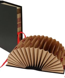 Grafoplas - Carpeta Acordeón para Documentos A5, 19 Bolsillos