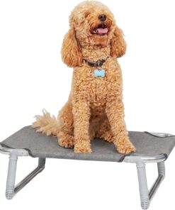 Ferplast 70504989 Cama Plegable para Perros Dream 60, Estructura Plegable de Aluminio, Tela de Tejido, 62 x 44 x 7 Cm Tórtola, Negro