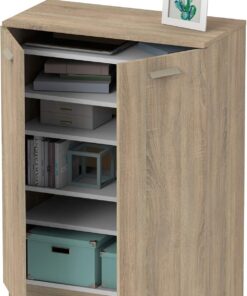 MUEBLES PITARCH | Armario Auxiliar Zapatero Multiusos bajo, 2 Estantes, Despachos Galerias Cocinas,101x74x36cm (Alto x Ancho x Fondo), Roble Cambrian, Colección Tibet