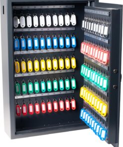 Pavo - Armario de llaves de alta seguridad para 100 llaves/Caja fuerte para llaves/Dimensiones: 600 x 410 x 120 mm / Incluye 100 llaveros