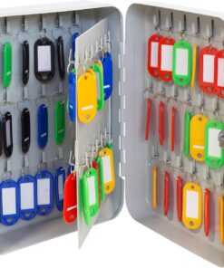 Arregui PLL60 Armario de Llaves con Ganchos Fijos | 60 Llaves | Caja de Seguridad de Acero para Llaves | con Llaveros Incluidos | Fácil Instalación en Pared | 25 x 18 x 8 cm | Gris